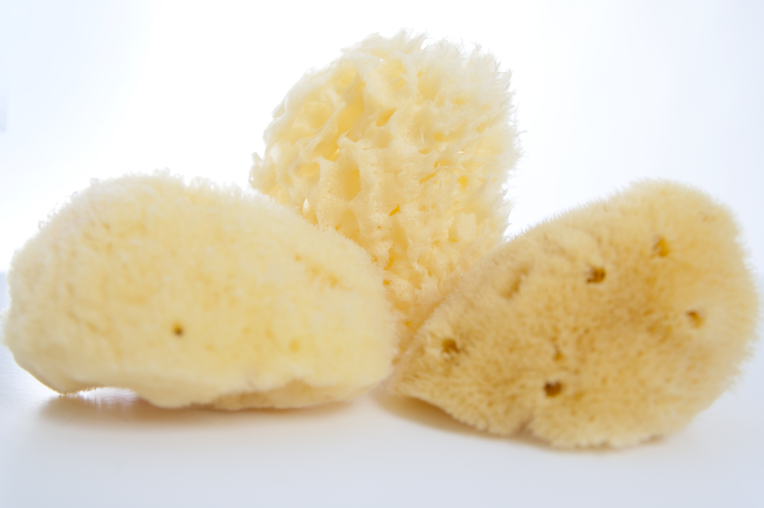 BiBaBBad natuurspons-1